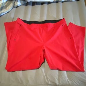 HUE Dress pants
